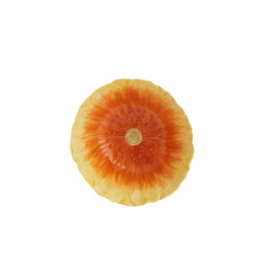 Light & Living Schaal Ø17,5x6,5 cm CASALI licht oranje-oranje