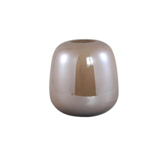 PTMD Vaas Mexx Liver rond large