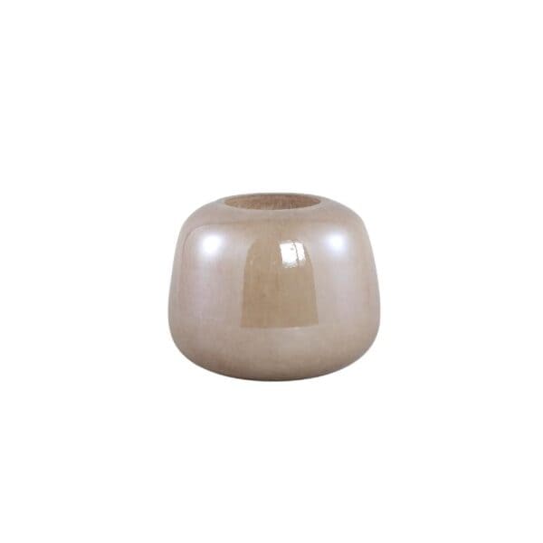 PTMD Vaas Mexx Liver rond S