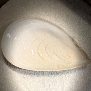 Gresnovo - Mosselschaal Crême D'Argile 40x24x6 cm