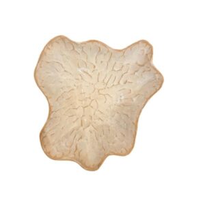 Gresnovo - Saladeschaal Algas Créme D'argile 30x10cm