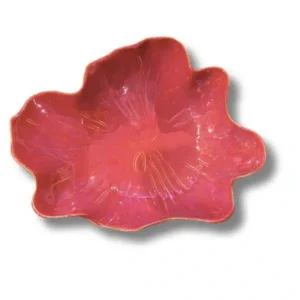 Gresnovo - Saladeschaal Algas Rouge Fondant 30x10cm