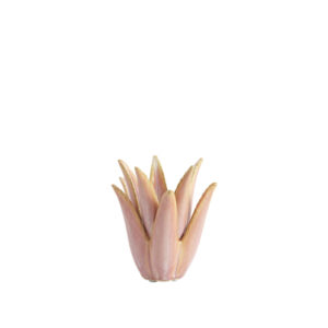 Light & Living Theelicht Ø13x15 cm CACTUS koraal